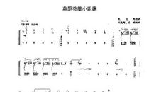 观《草原英雄小姐妹》有感