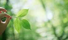 心上角落期待你