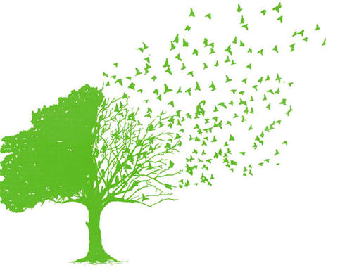 生命之路,无限广阔 - “无宽敞”