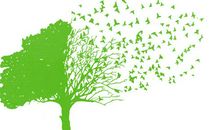 人生之路，无限宽广——《道路无限宽广》读后感