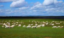 做最素直的事，行最宽广的路——《道路无限宽广》读后感