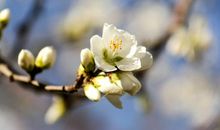 清欢岁月，与文字为邻