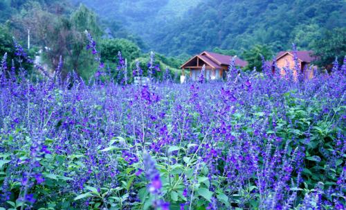 美丽的泛龙峡谷