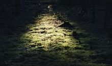 过去，亦未真正过去