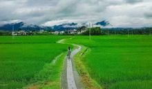 和时光一起成长