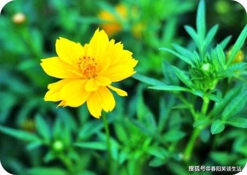 是一个人来自这里