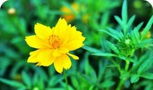 做人从这里开始