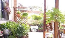 成长路上的花香