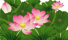 心存善念让她如此美丽