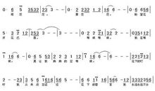 那些日子花开花落