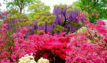 感谢那一缕温暖的阳光