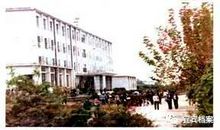 一路走来真善美莫离