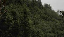 带着发现爱的眼睛出发