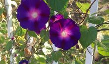 平凡位置下的美丽