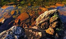 世上最美的弧线