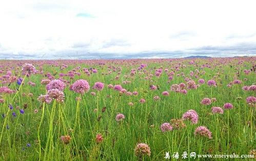 坚持芬芳