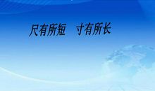 尺有所短寸有所长