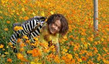 秋天来了的景象