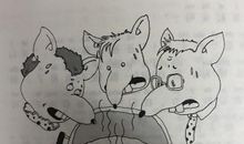 我和抹布的故事