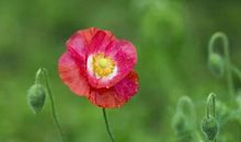 有你有我们的日子