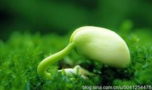 感受生命的力量