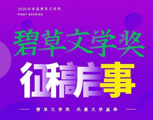 我见过的文化节