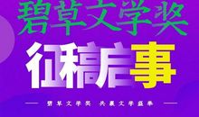 我所见到的文化节作文