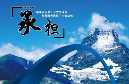 我的责任我忍受了