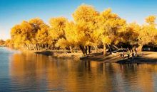 和自己一起走过的日子