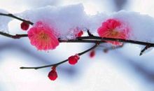 藏在心中的那份牵挂