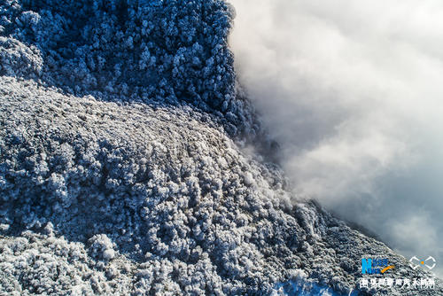 冬天早晨雪景