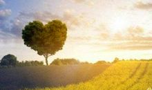 藏在心中的阳光