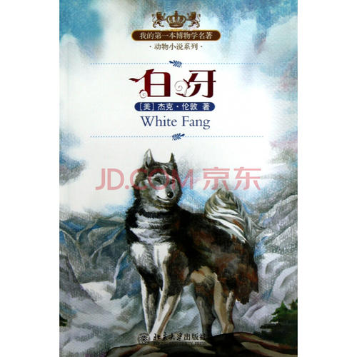 我的第一个小说之旅