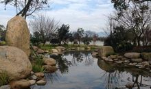 我喜欢四季的山