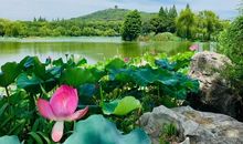 蜡烛燃尽，只为多留一丝光明