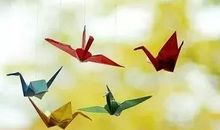 只需努力，剩下的交给时光