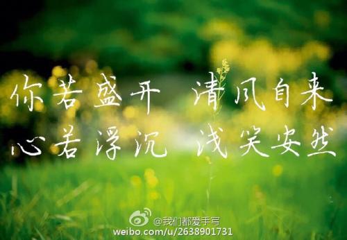 如果你绽放，世界很安静