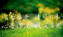 你若盛开，世界静好