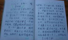 阳光路上作文600字