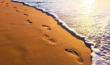 一行深深的脚印