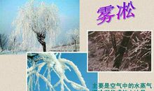 我想用爱凝华时间