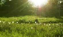 微笑着面对磨难