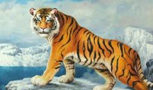 青春易逝，要好好把握