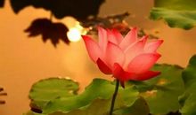 珍藏一颗善良的心