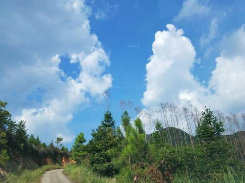 大山的感情