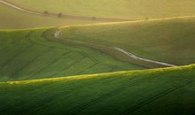 我来人间，只为看看阳光