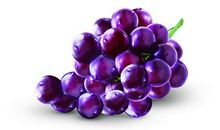 紫色桑葚牵动我的情思