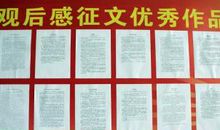 爱国影视征文——《绽放》观后感