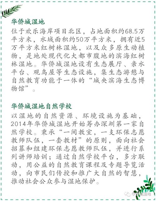 美丽来自坚持不懈 - 感受“飞天空”