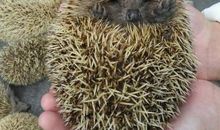 适度妥协，蓄力进取